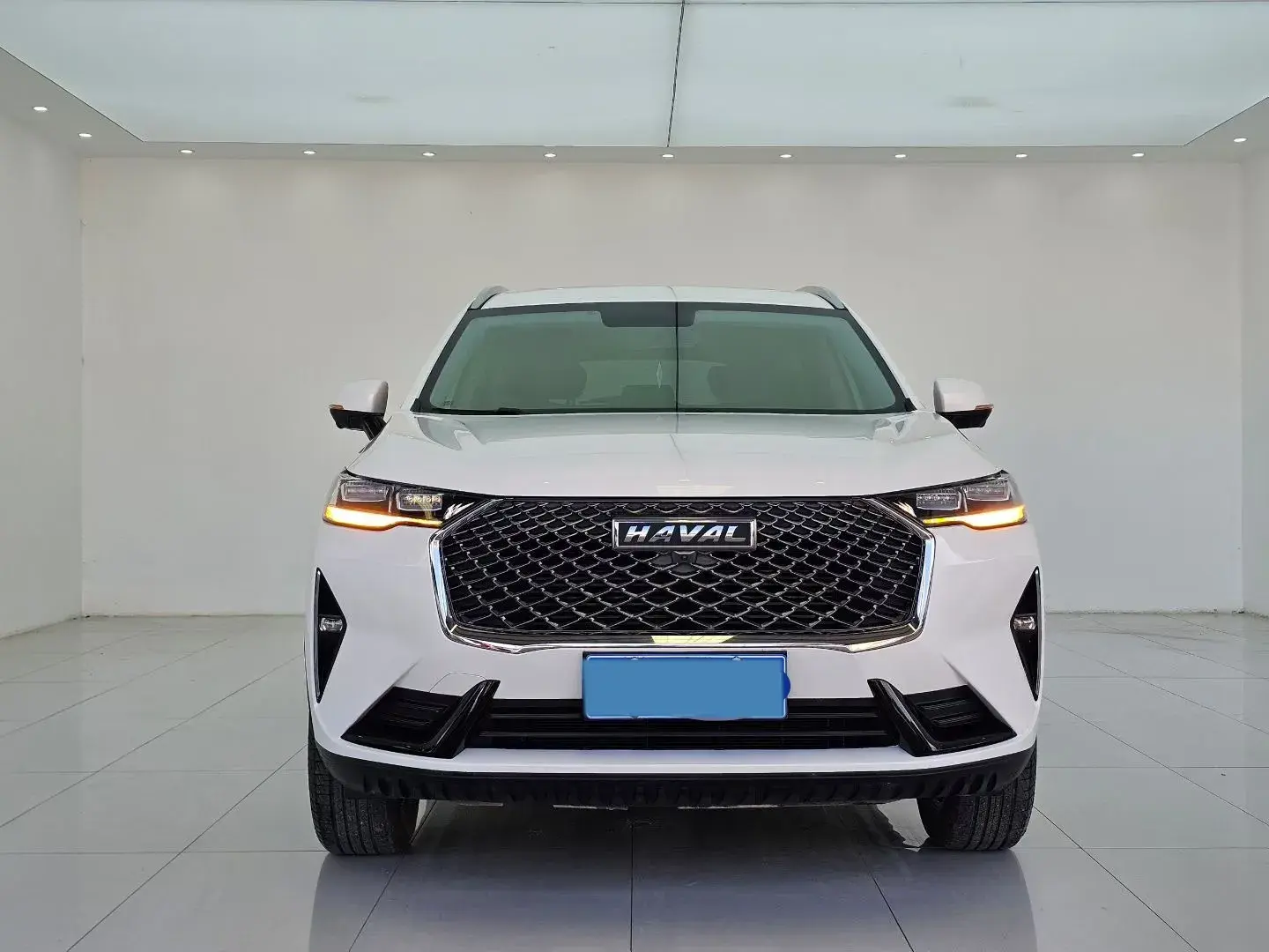 2021 HAVAL H6 thumbnail 2