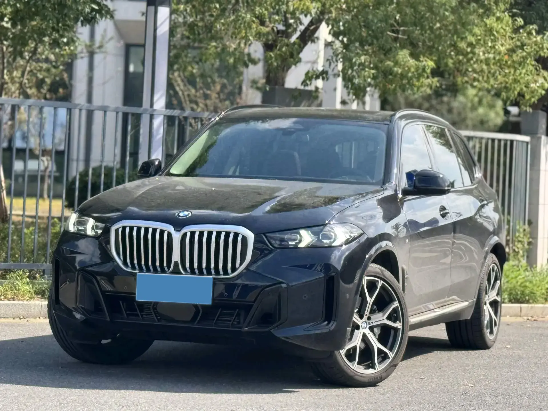 2023 BMW X5 view 1