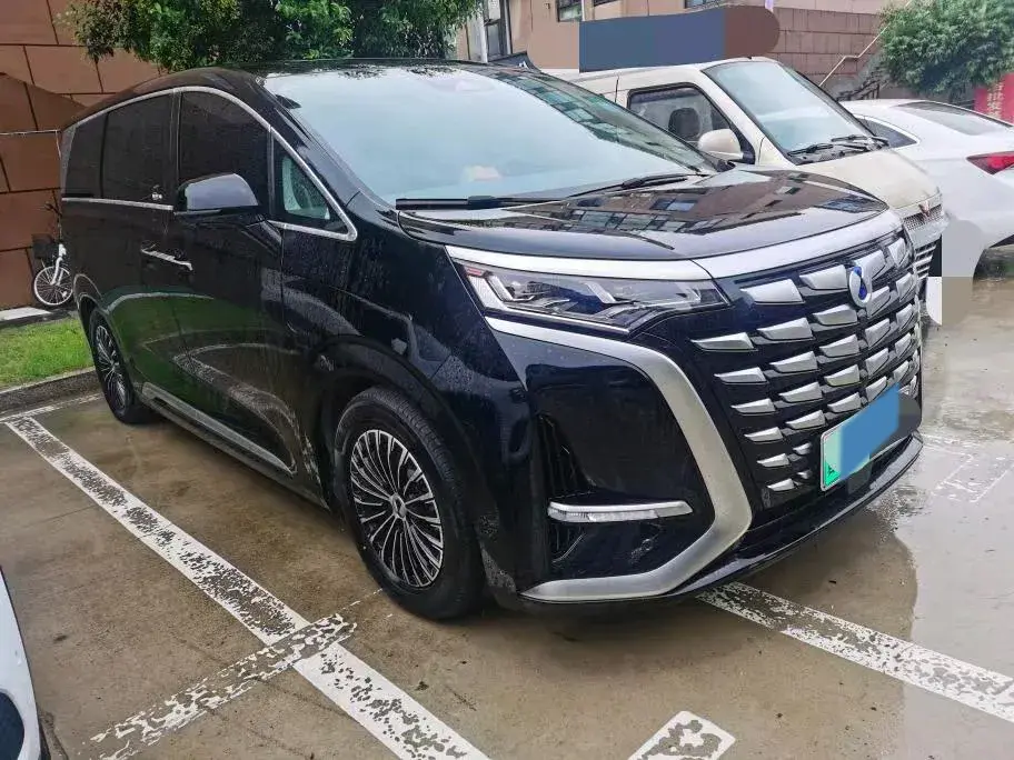 2022 DENZA D9 thumbnail 4