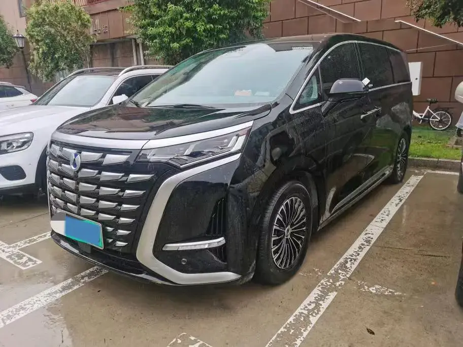 2022 DENZA D9 view 1