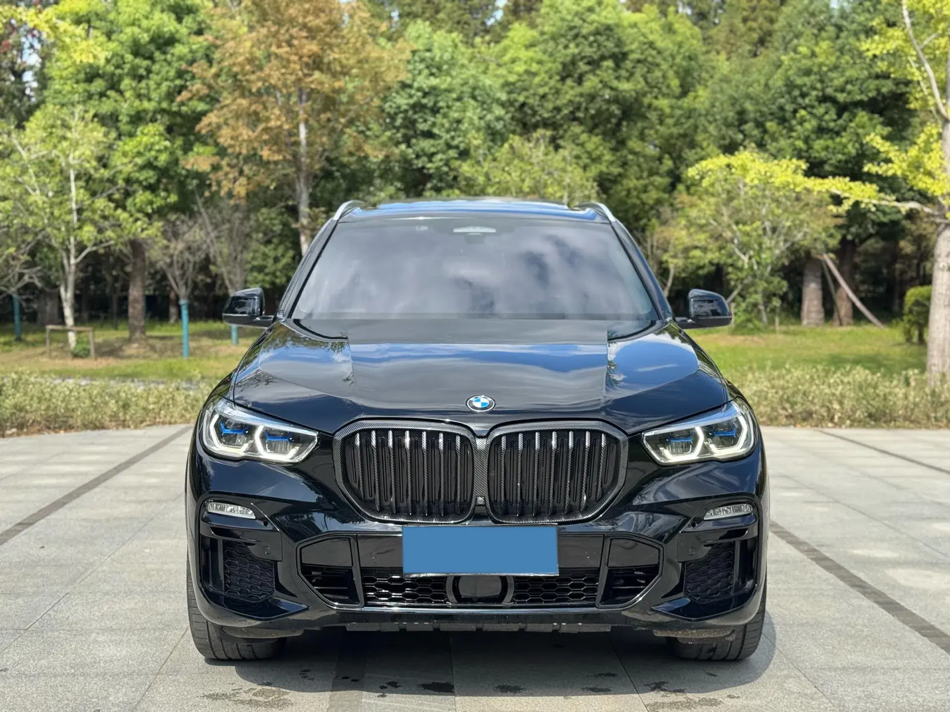 2019 BMW X5 thumbnail 3