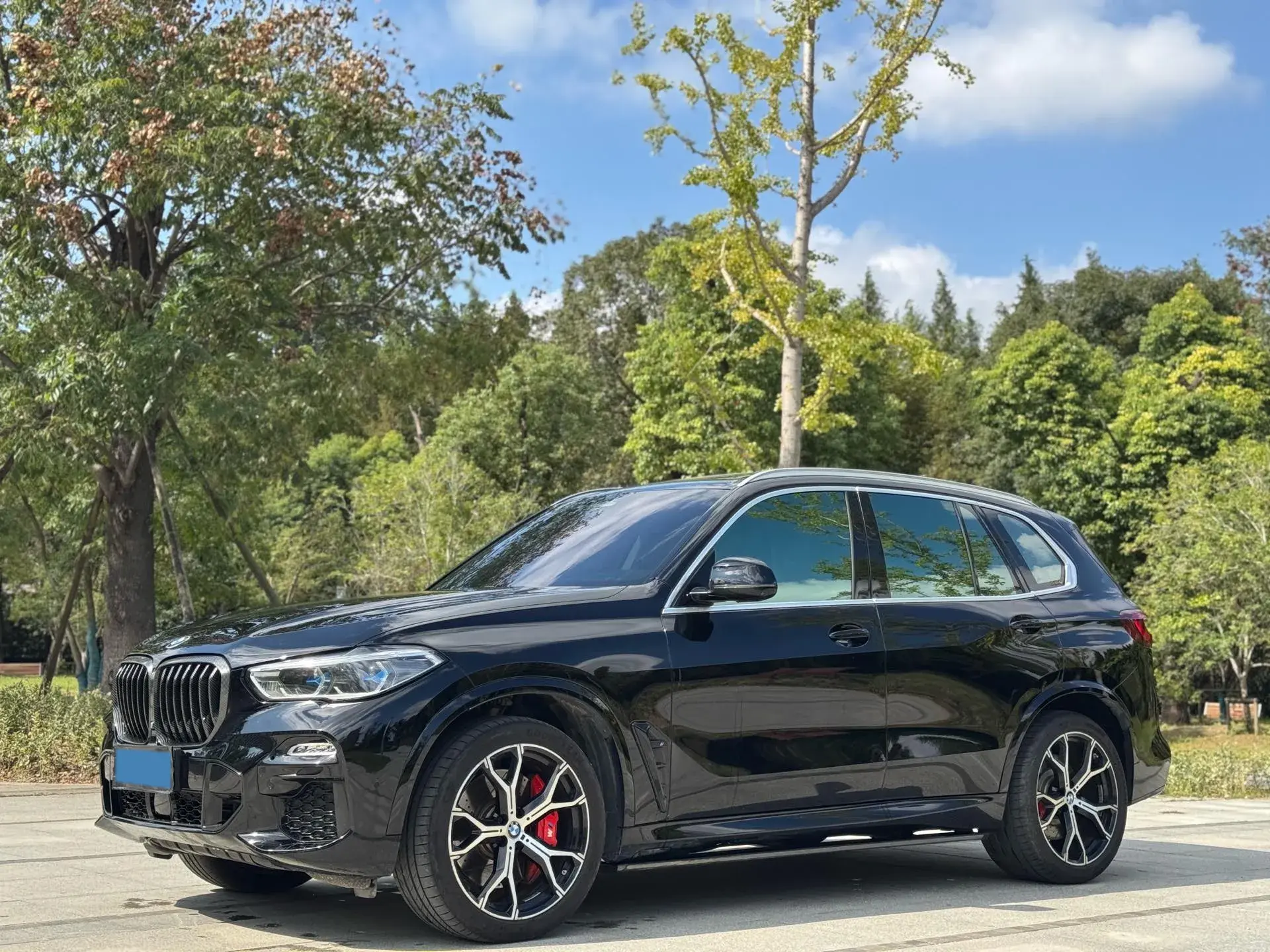 2019 BMW X5 view 1