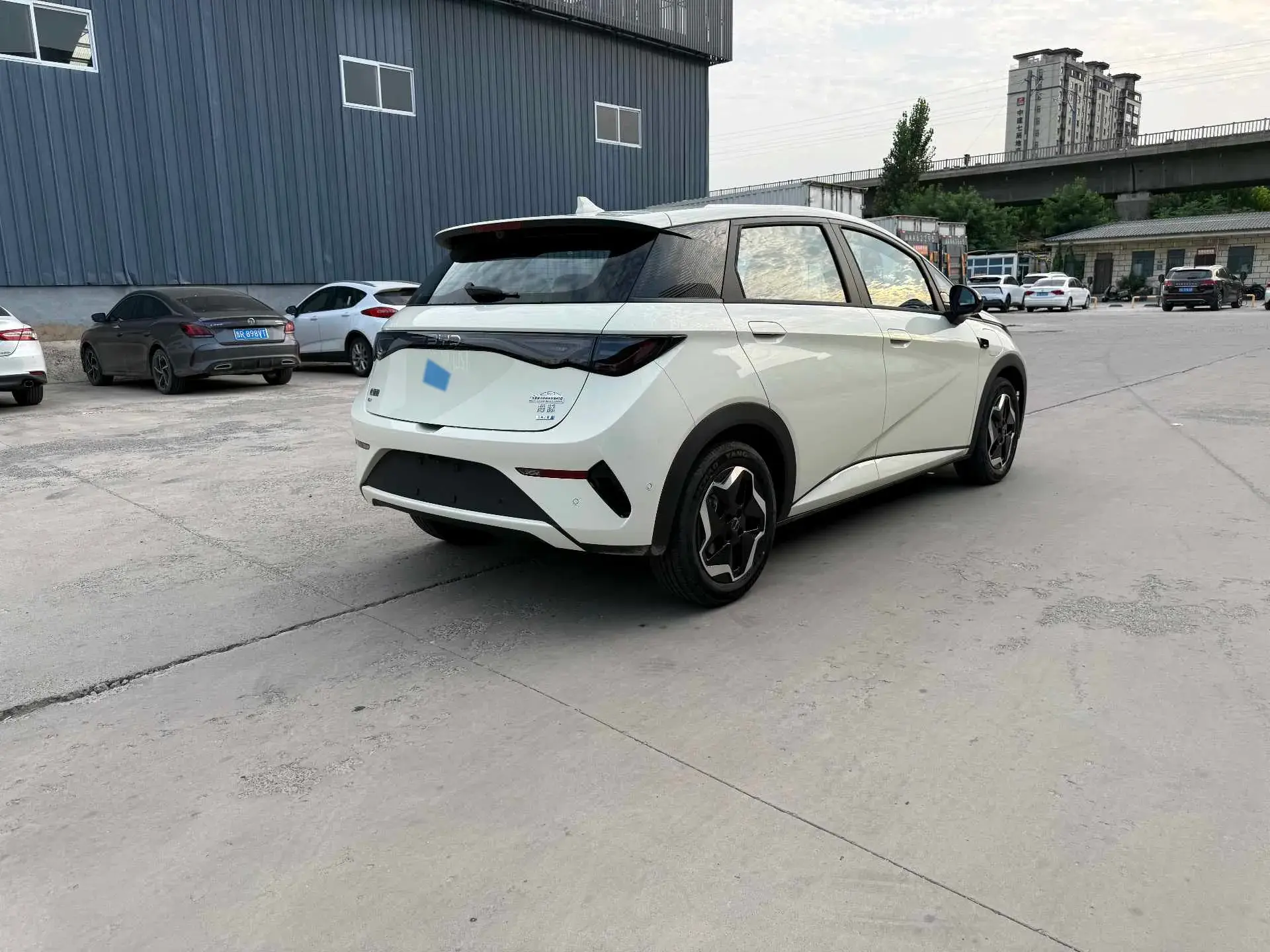 2025 BYD DOLPHIN thumbnail 4