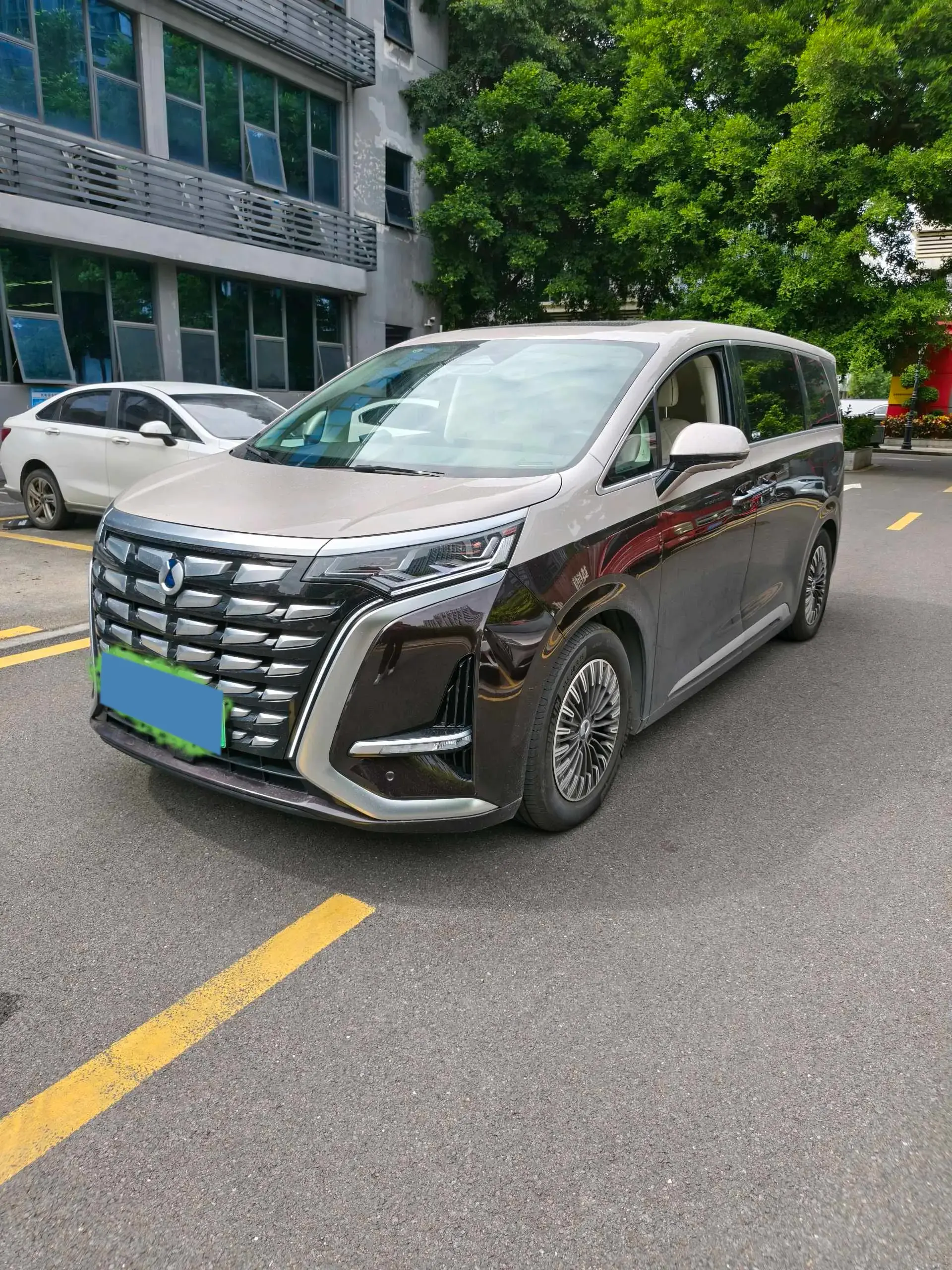 2024 DENZA D9 view 1