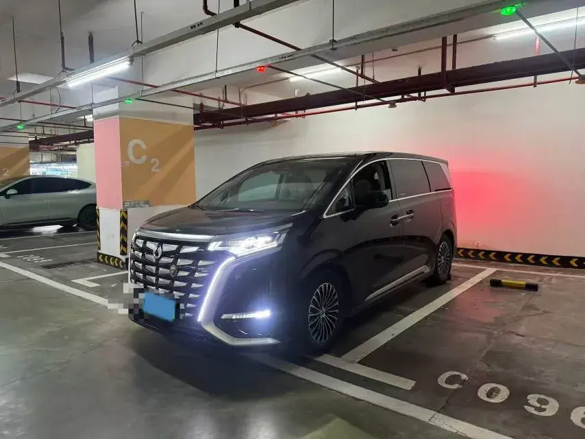 2022 DENZA D9 view 1