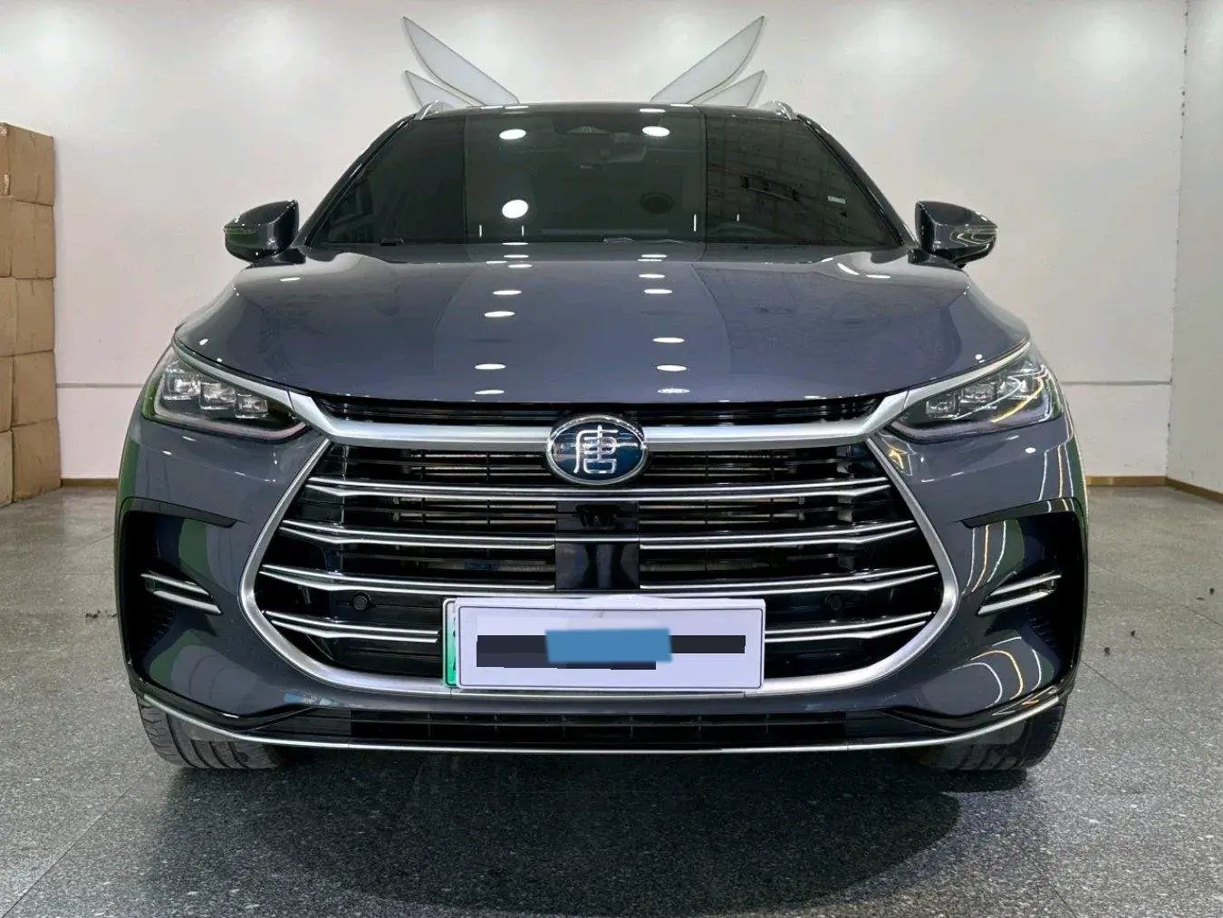 2023 BYD TANG thumbnail 2