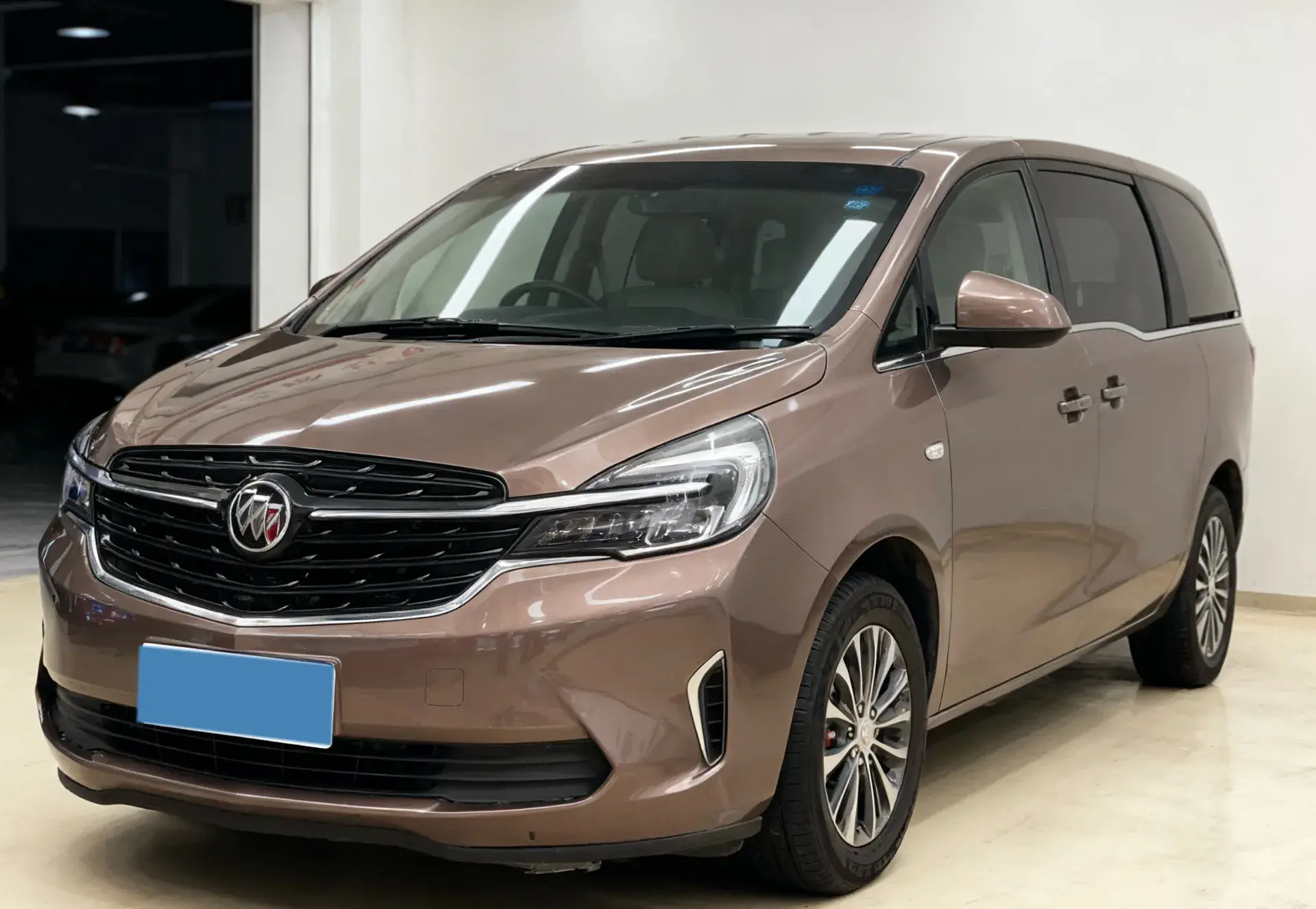 2020 BUICK GL8 view 1