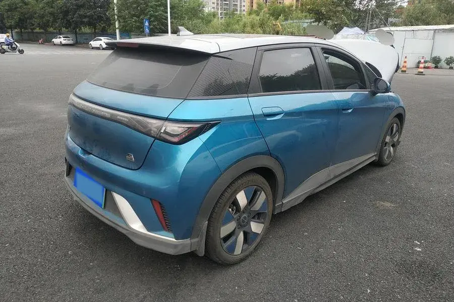 2021 BYD DOLPHIN thumbnail 2