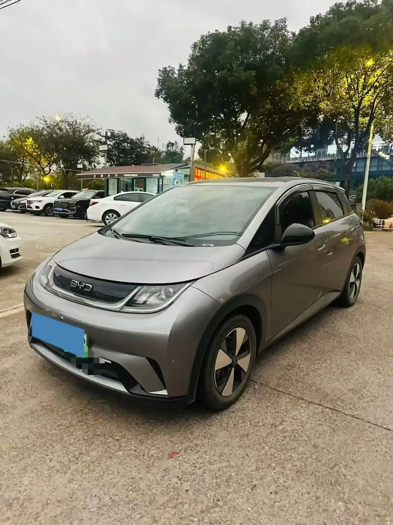 2023 BYD DOLPHIN view 1