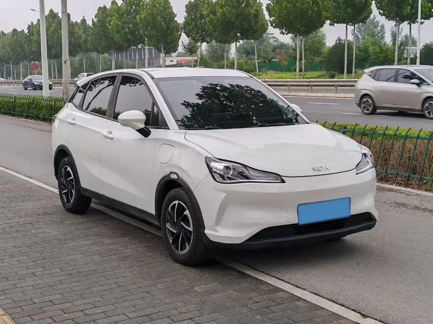 2021 NETA V thumbnail 3