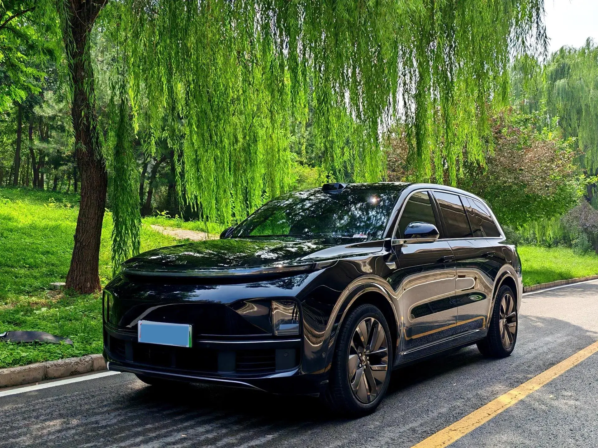 2022 LI L9 thumbnail 4