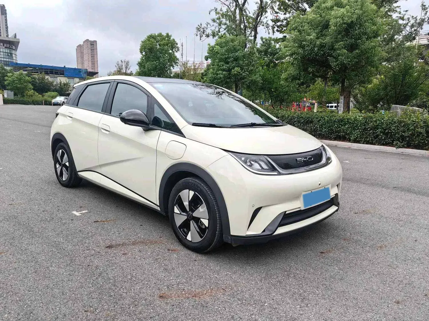 2023 BYD DOLPHIN thumbnail 3