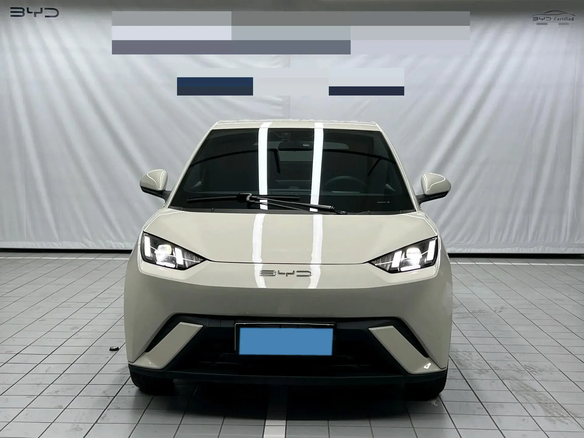 2024 BYD SEAGULL thumbnail 2