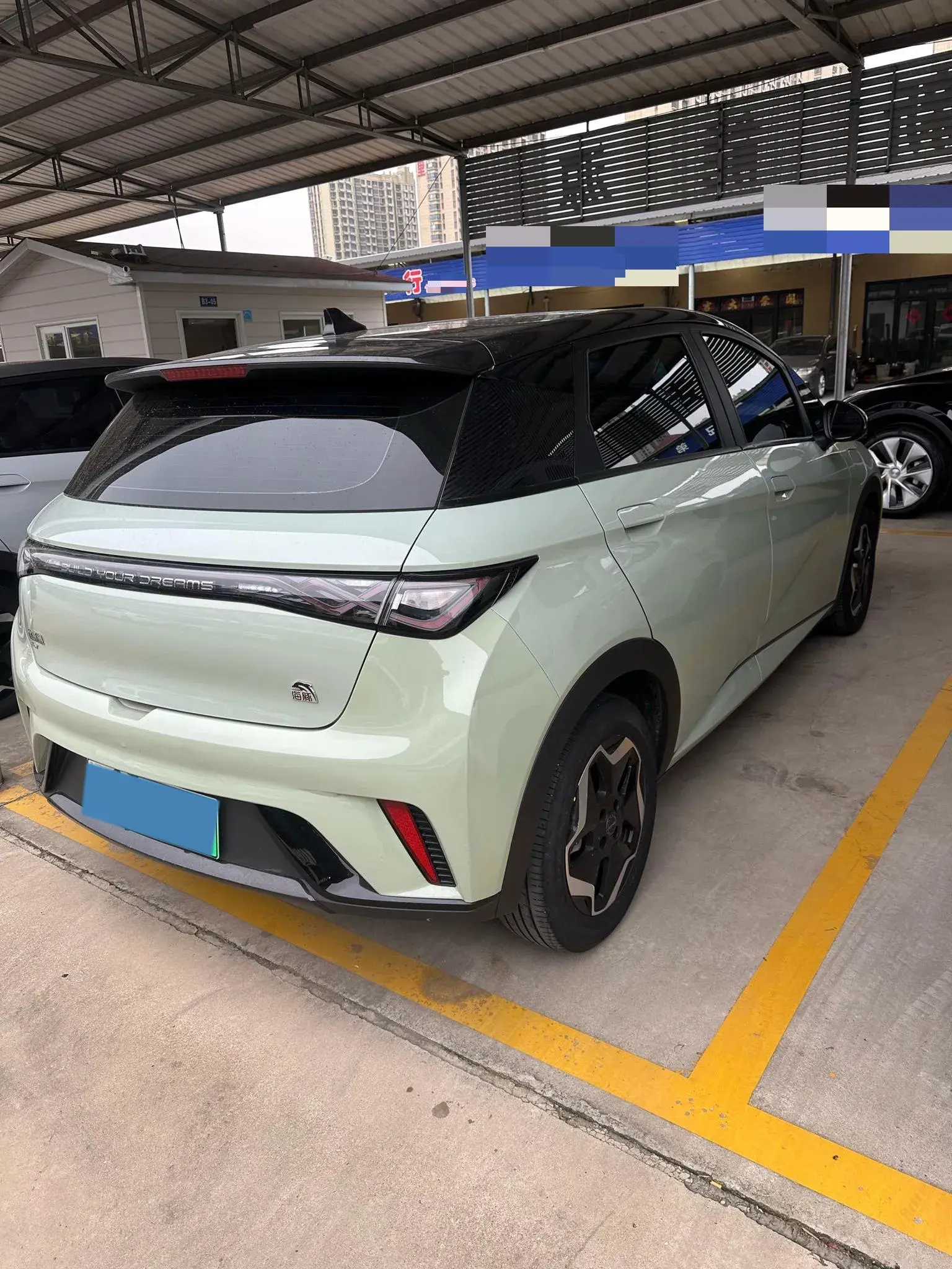 2021 BYD DOLPHIN thumbnail 4