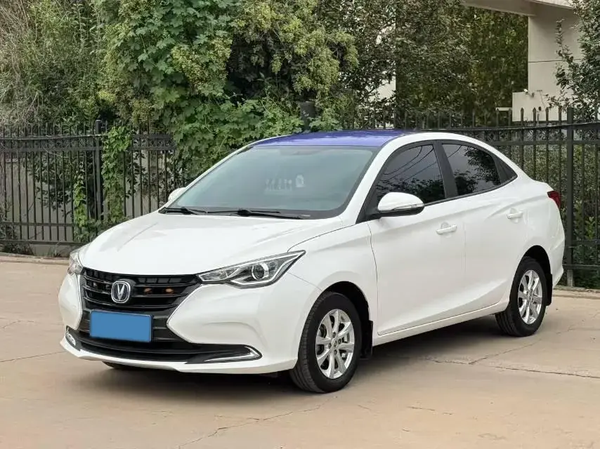 2019 CHANGAN ALSVIN view 1