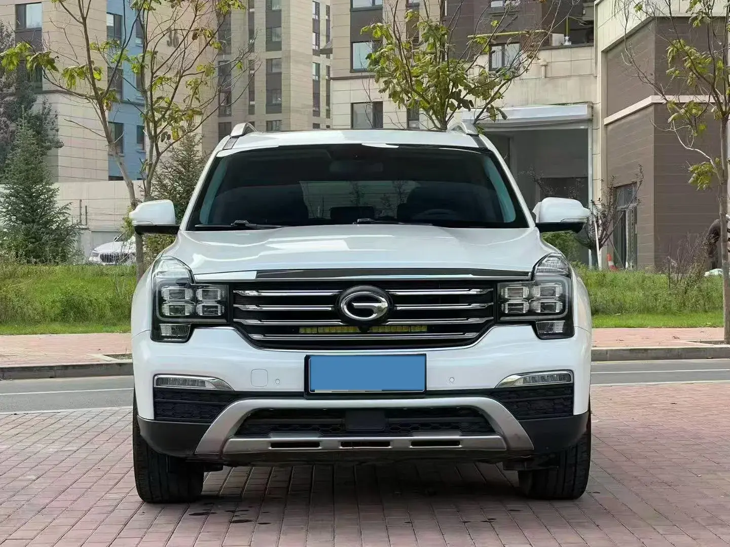 2017 GAC TRUMPCHI thumbnail 2