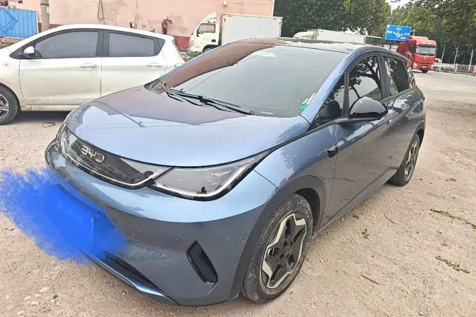 2025 BYD DOLPHIN view 1