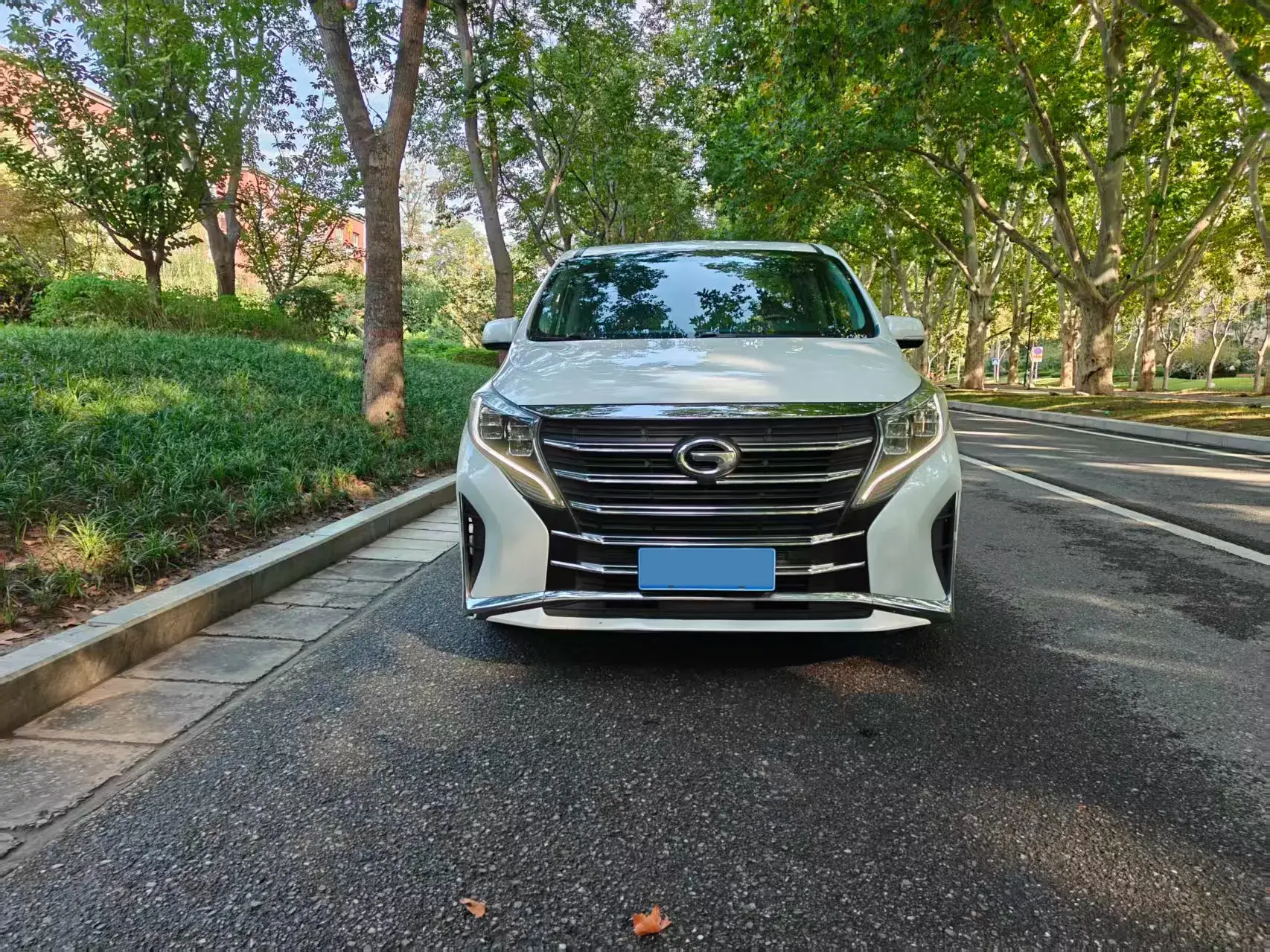 2021 GAC TRUMPCHI thumbnail 3