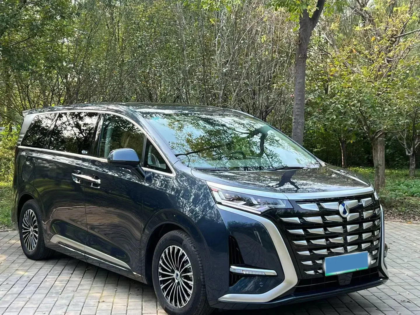 2022 DENZA D9 thumbnail 3