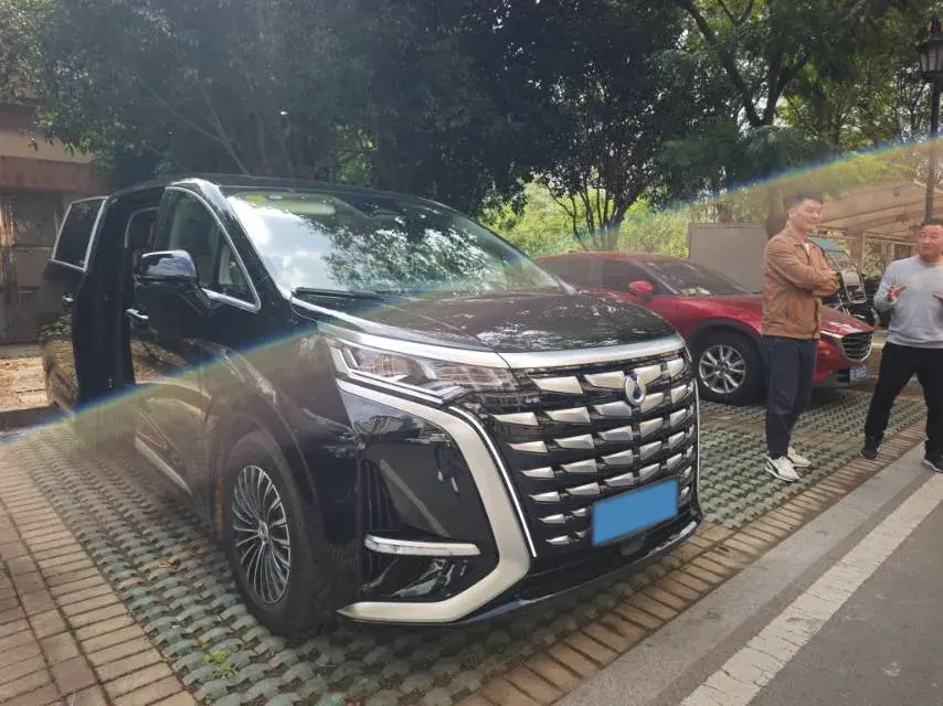 2024 DENZA D9 thumbnail 2