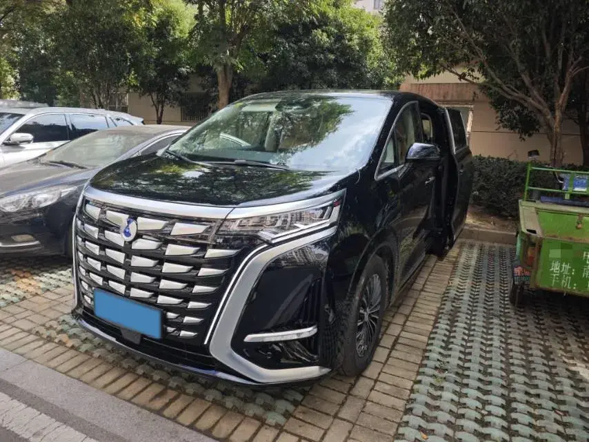 2024 DENZA D9 view 1