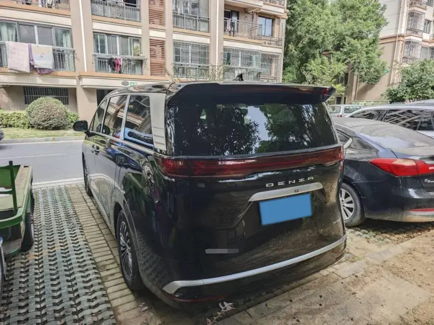 2024 DENZA D9 thumbnail 4