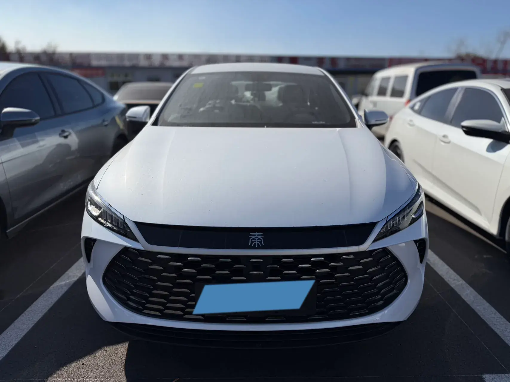 2025 BYD QIN thumbnail 2