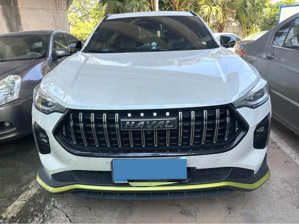 2021 HAVAL RABBIT thumbnail 2