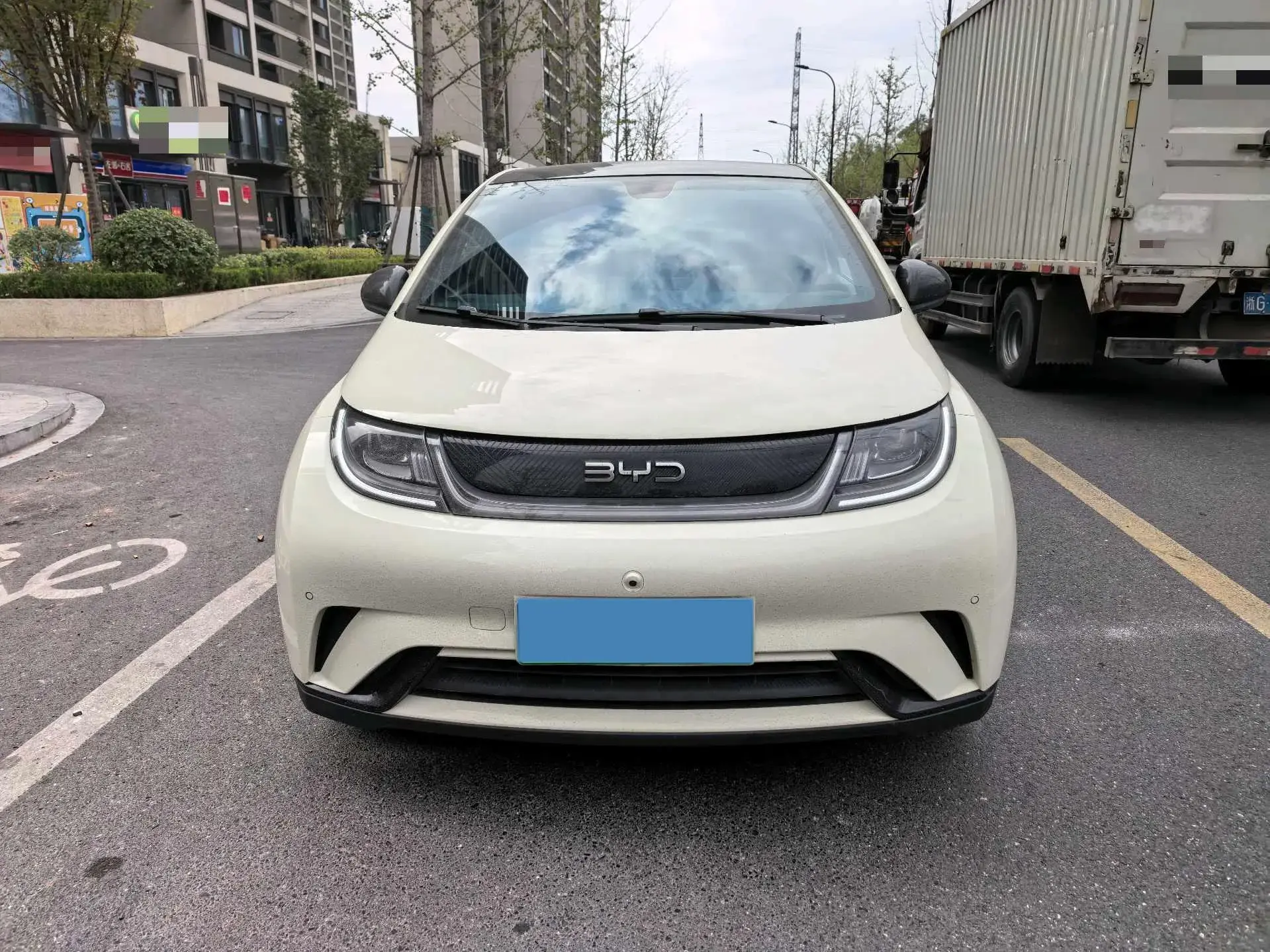 2025 BYD DOLPHIN thumbnail 2