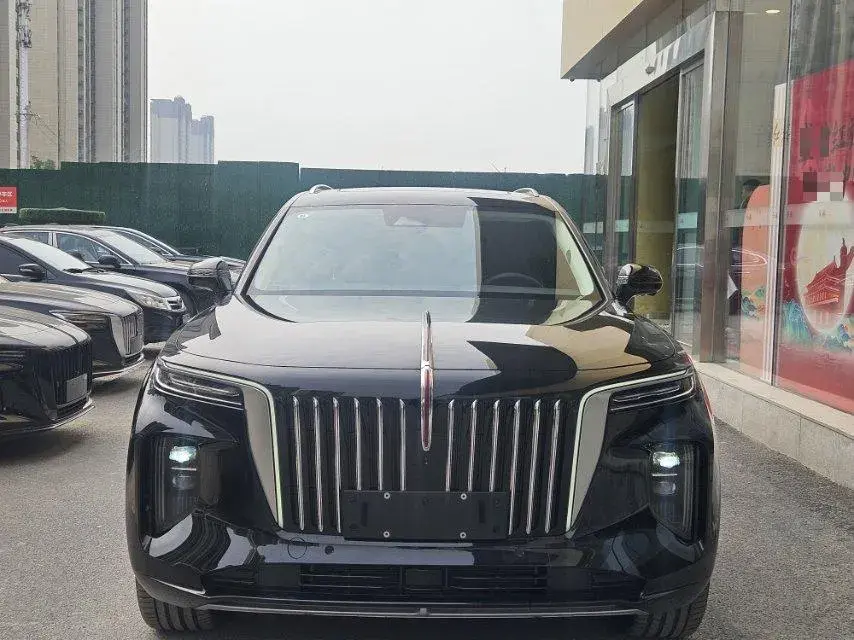 2022 HONGQI E-HS9 thumbnail 3