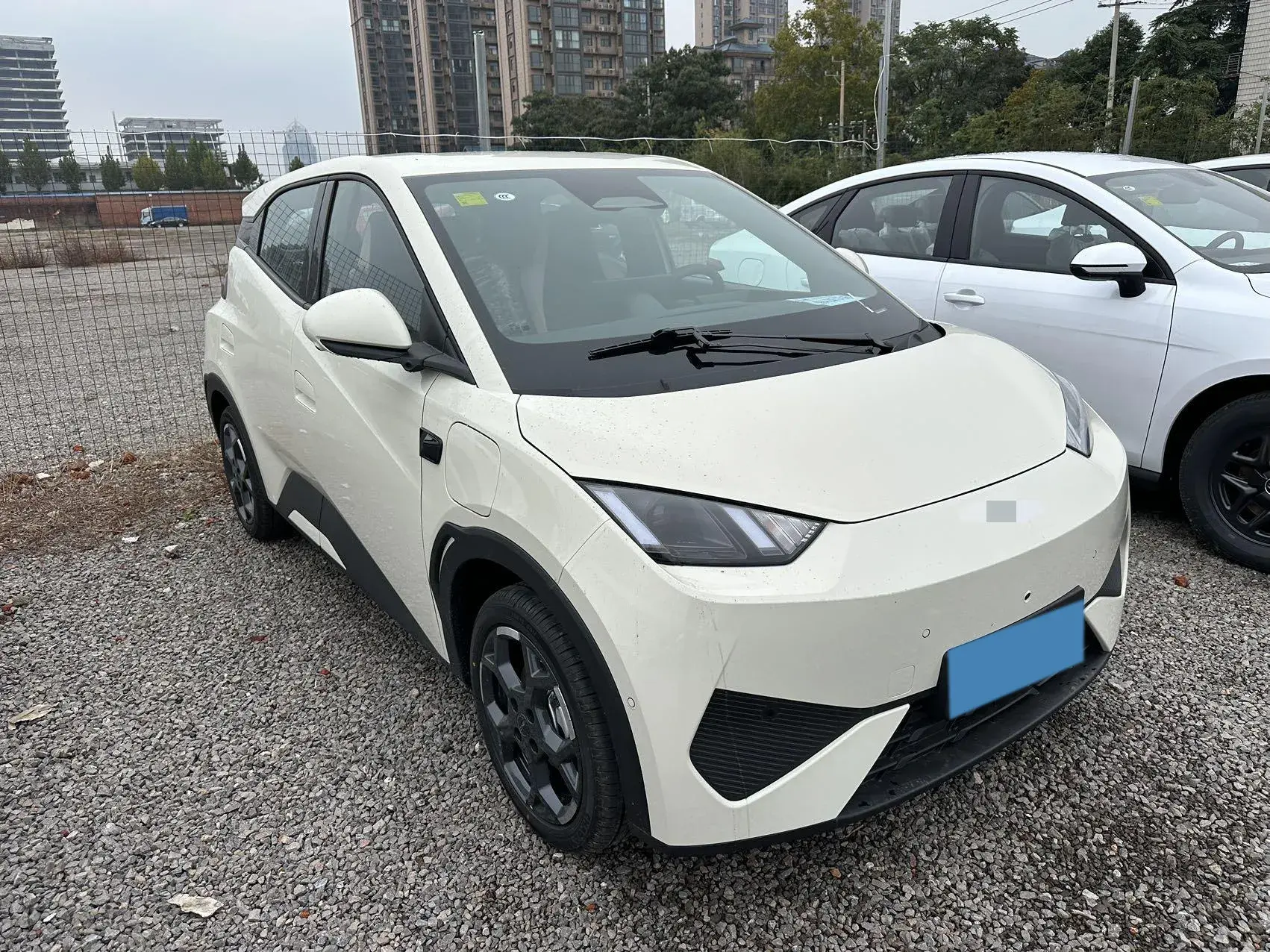 2025 BYD SEAGULL thumbnail 2