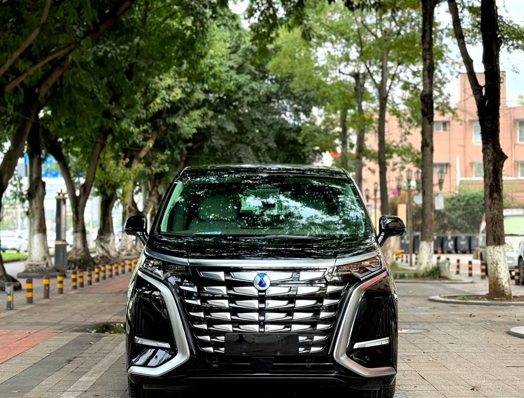 2022 DENZA D9 thumbnail 2