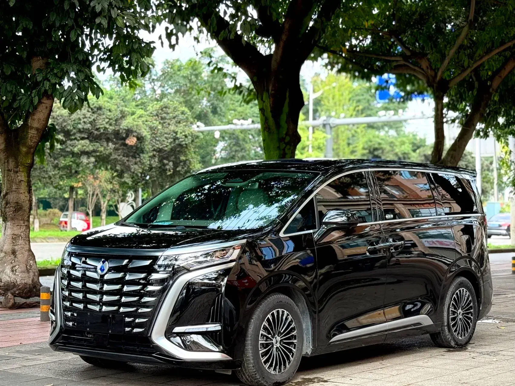 2022 DENZA D9 view 1