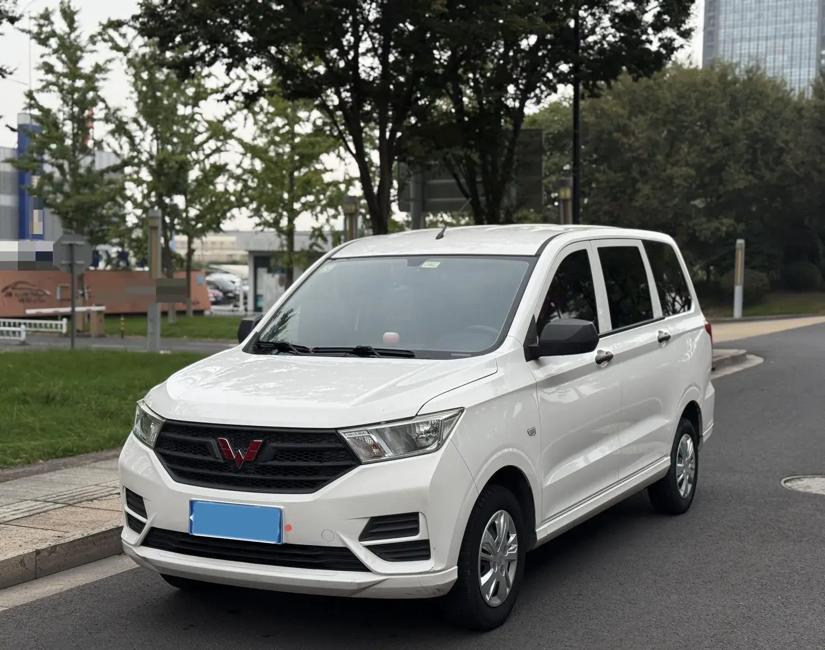 2019 WULING HONGGUANG view 1