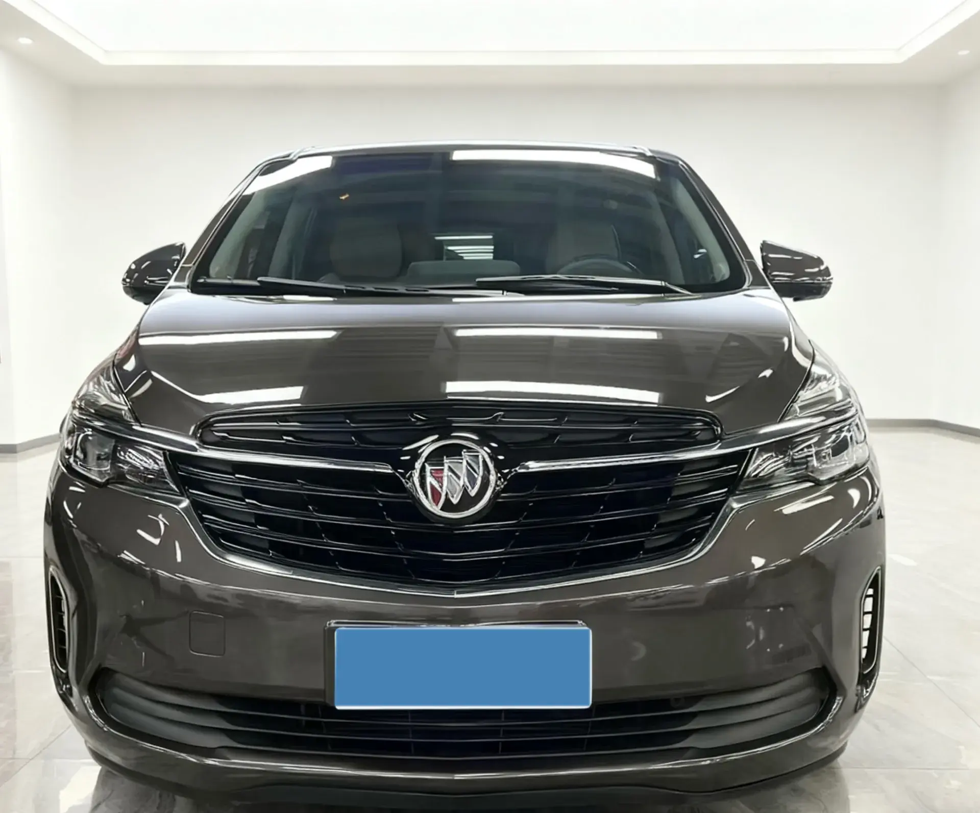 2020 BUICK GL8 thumbnail 2