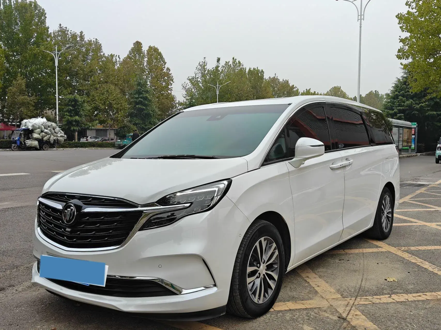 2021 BUICK GL8 view 1