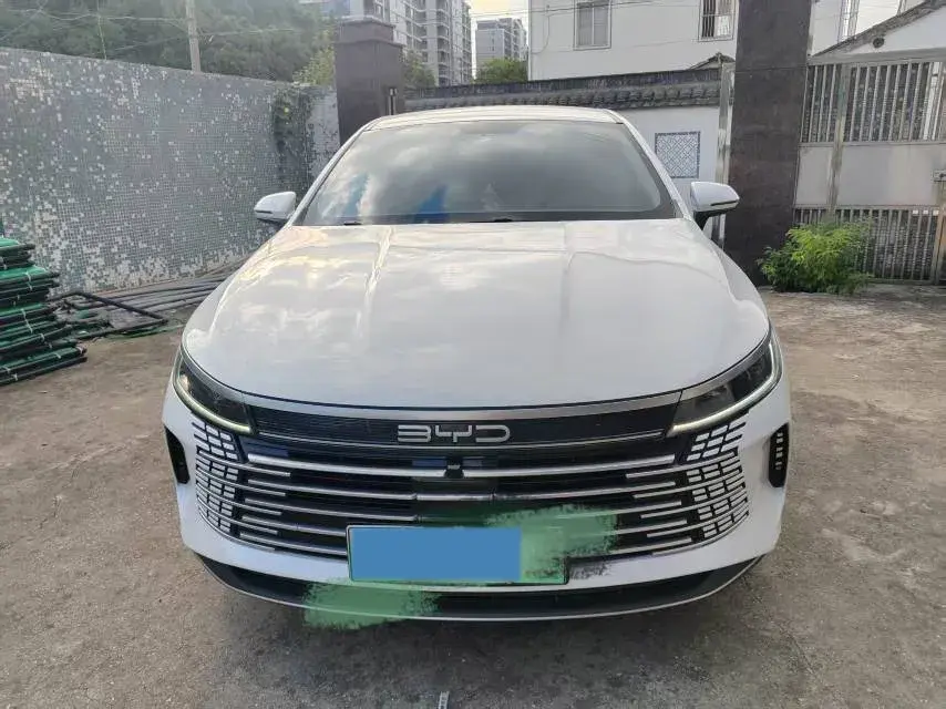 2022 BYD DESTROYER thumbnail 2