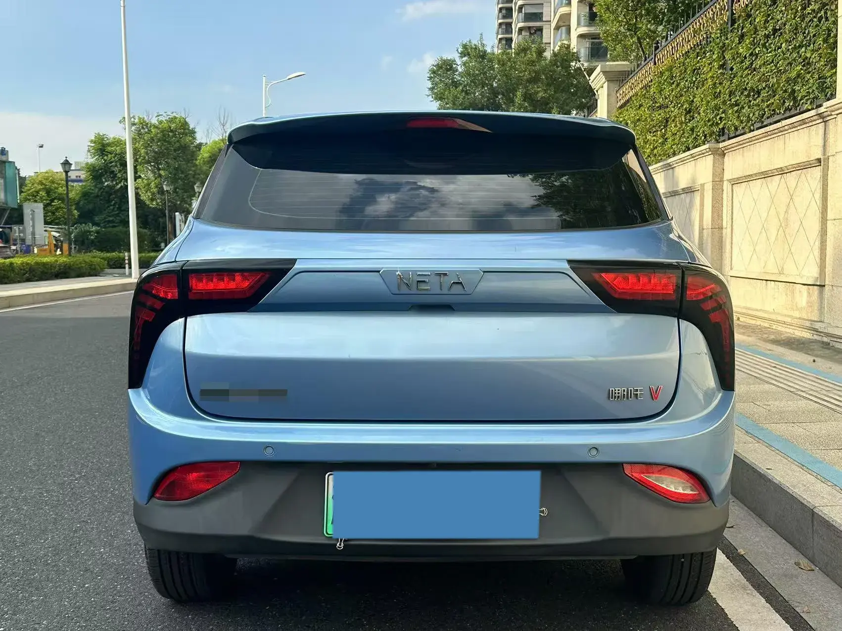 2021 NETA V thumbnail 4