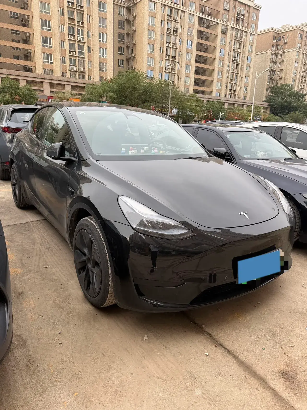 2023 TESLA MODEL thumbnail 2