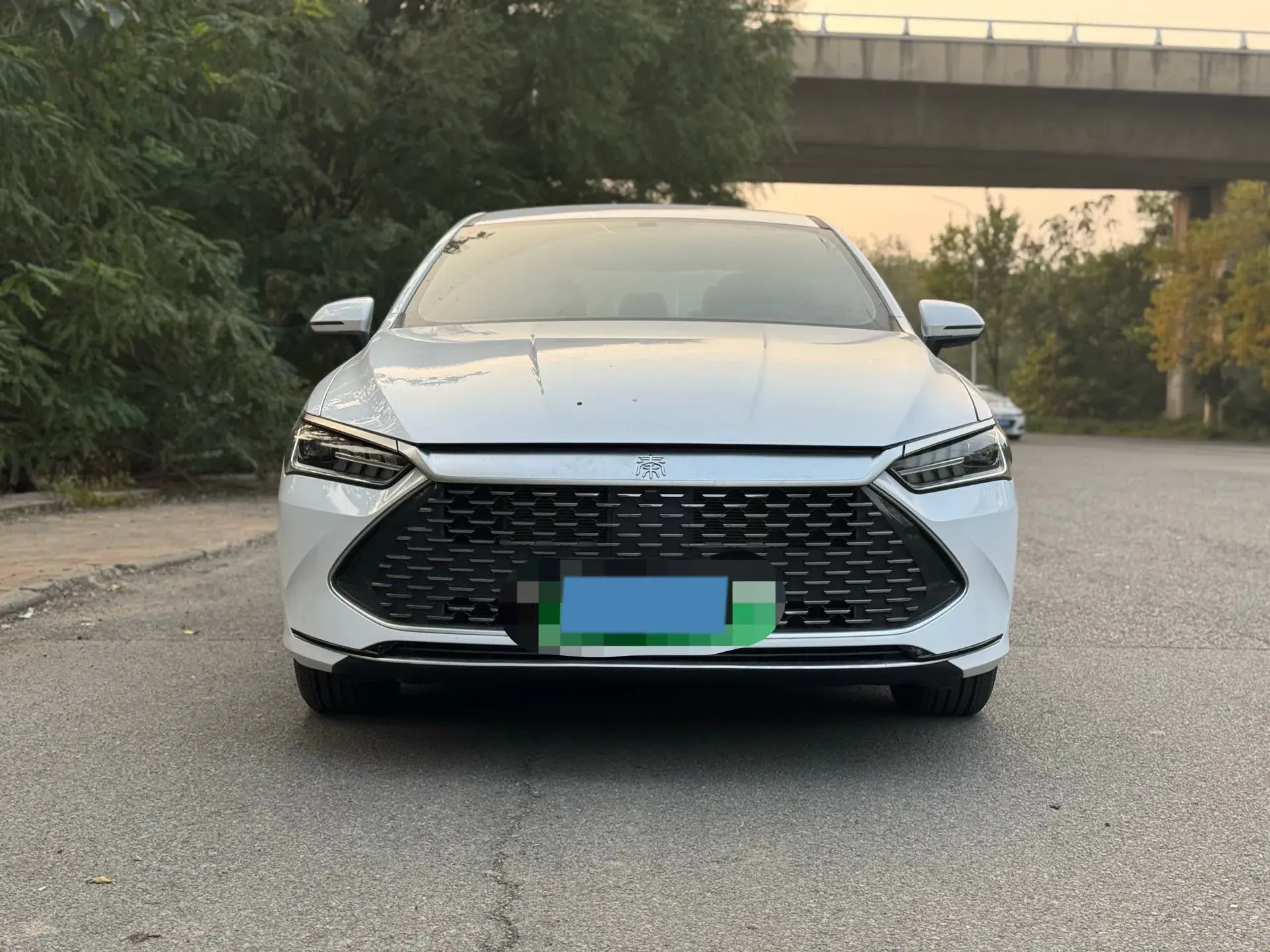 2024 BYD QIN thumbnail 2