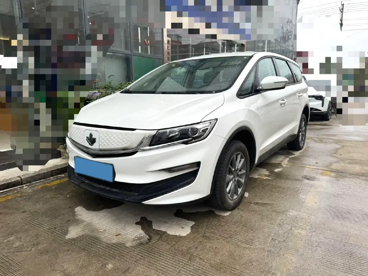 2021 Livan Maple 80v BEV 53KWH