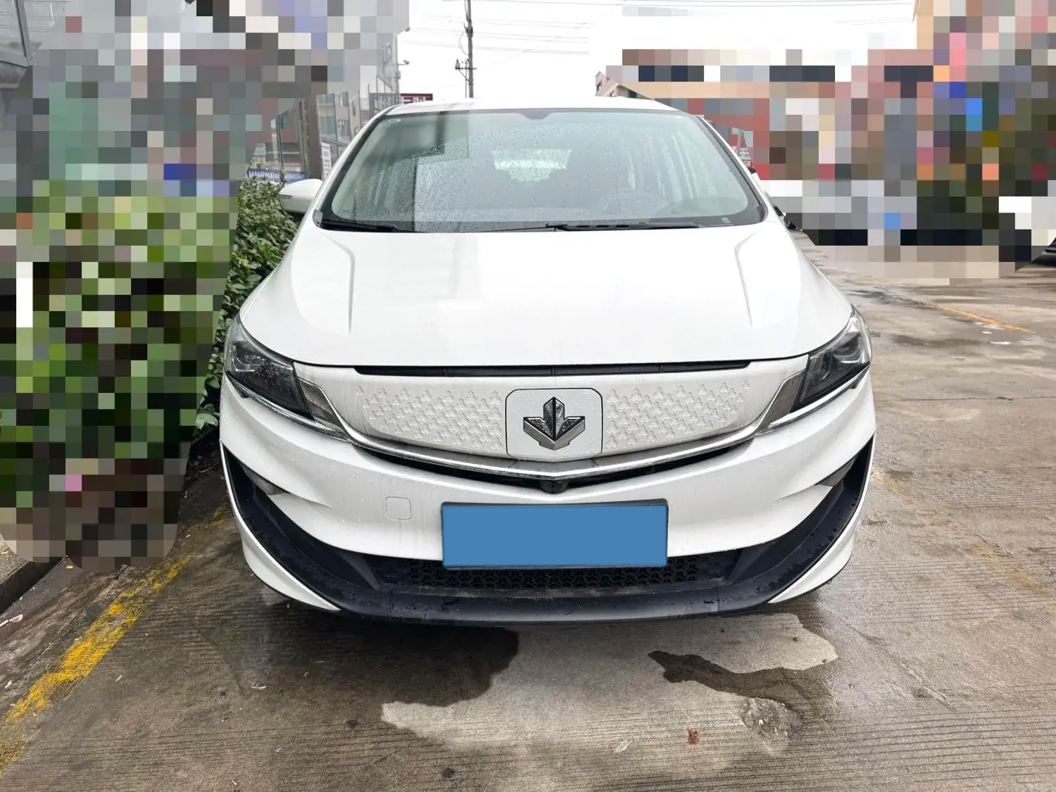 2021 LIVAN MAPLE thumbnail 2