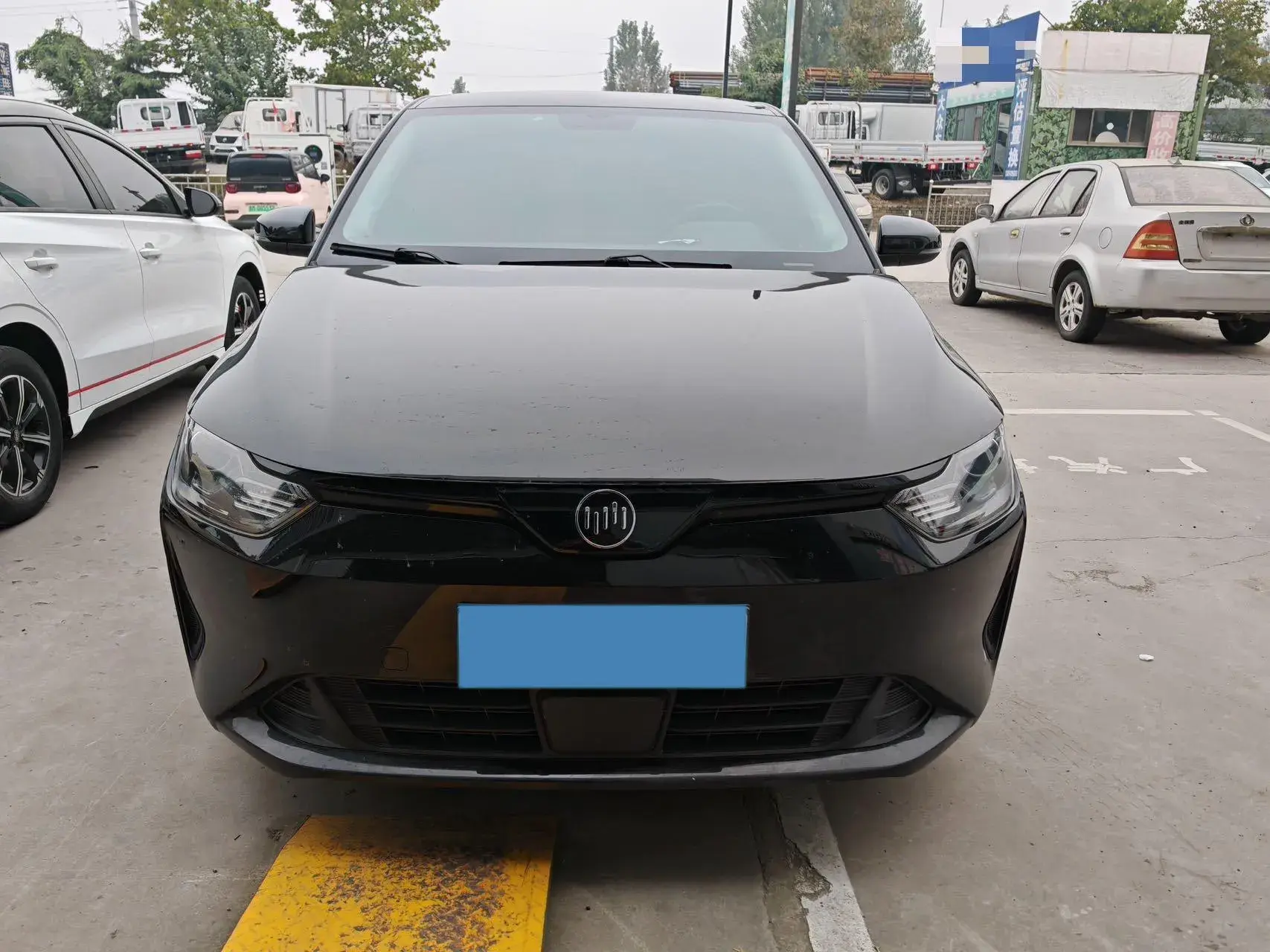 2021 WELTMEISTER E.5 thumbnail 2