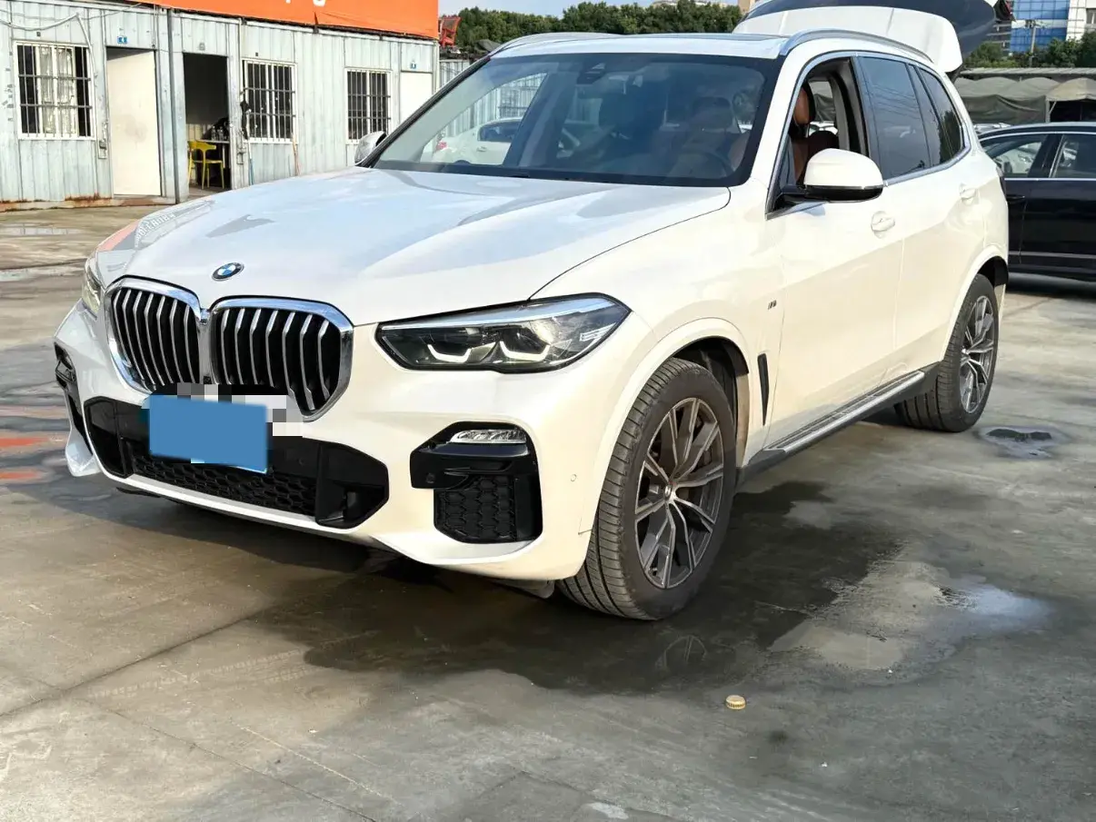 2020 BMW X5 view 1