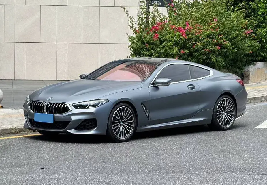 2019 BMW 8 view 1