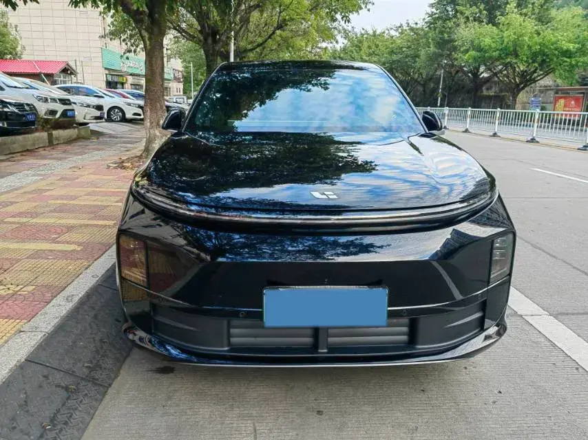 2025 LI L6 thumbnail 2