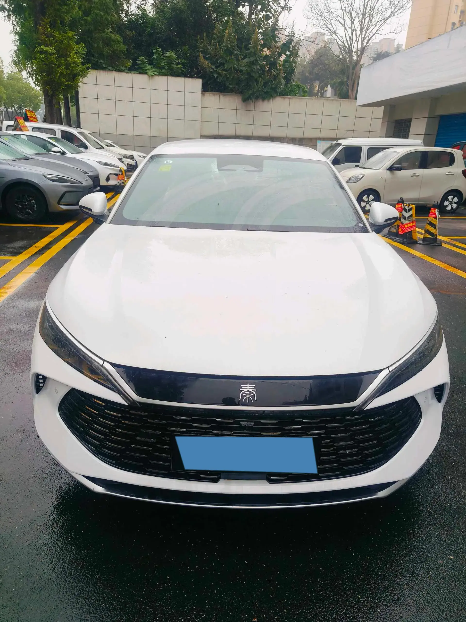 2025 BYD QINL thumbnail 2