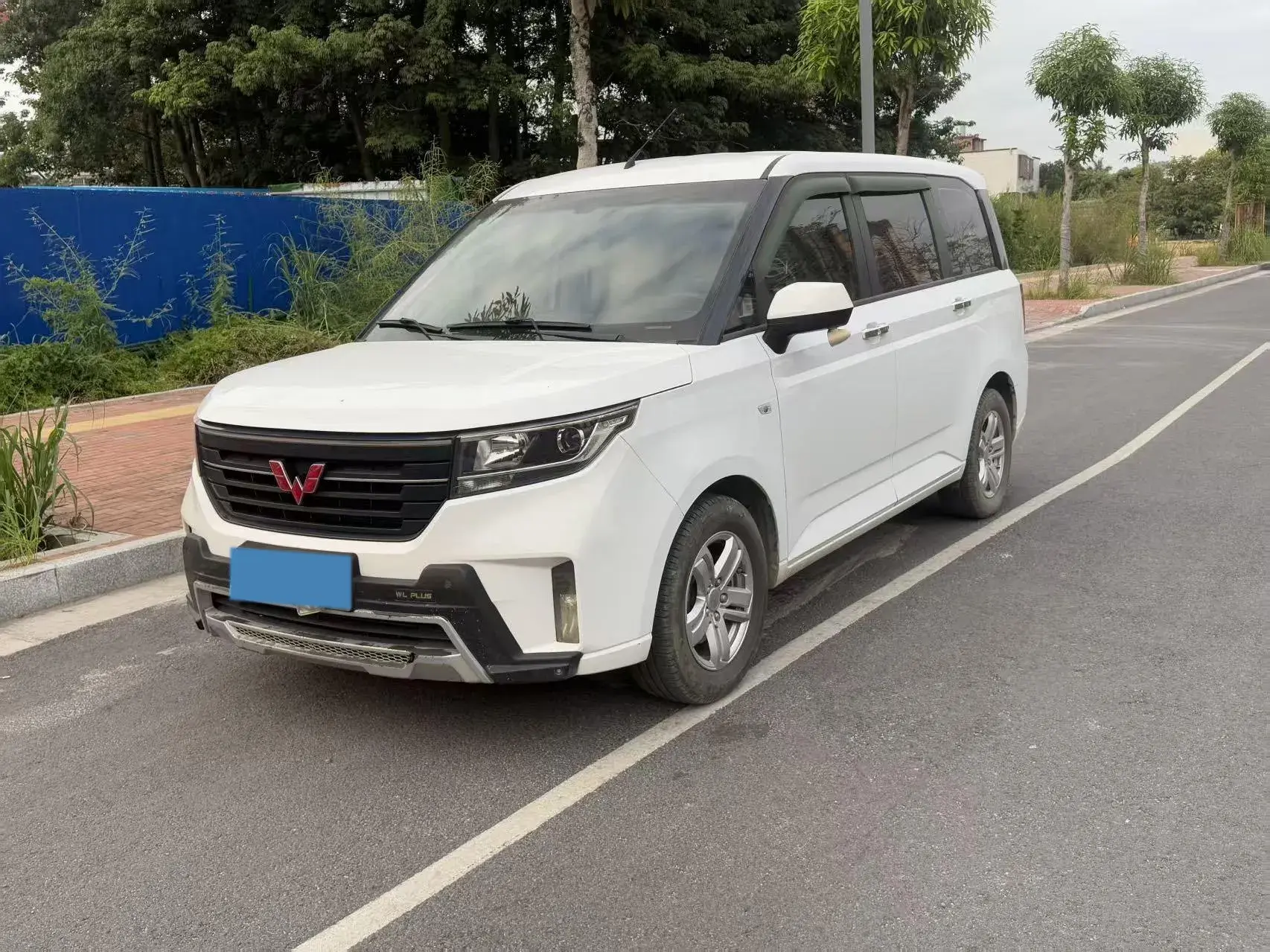 2019 WULING HONGGUANG view 1