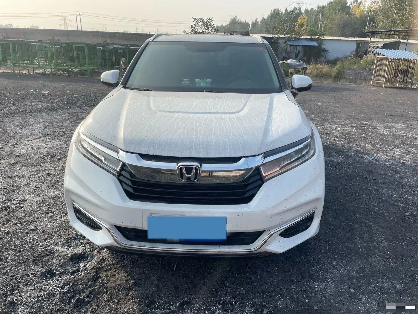 2020 HONDA AVANCIER thumbnail 3