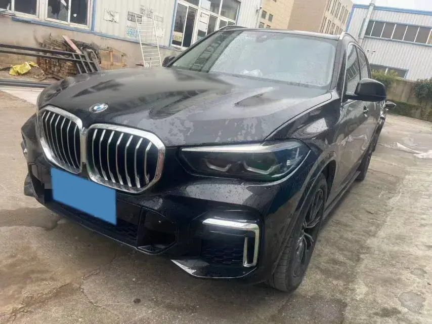 2022 BMW X5 view 1